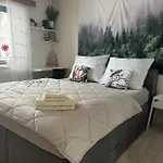 Apartment Pod Lesem Hazlov