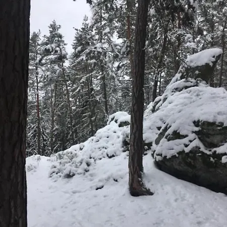 Apartmán Pod Lesem Hazlov