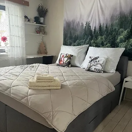 Apartmán Pod Lesem Hazlov