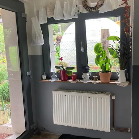 Pod Lesem Apartment Hazlov